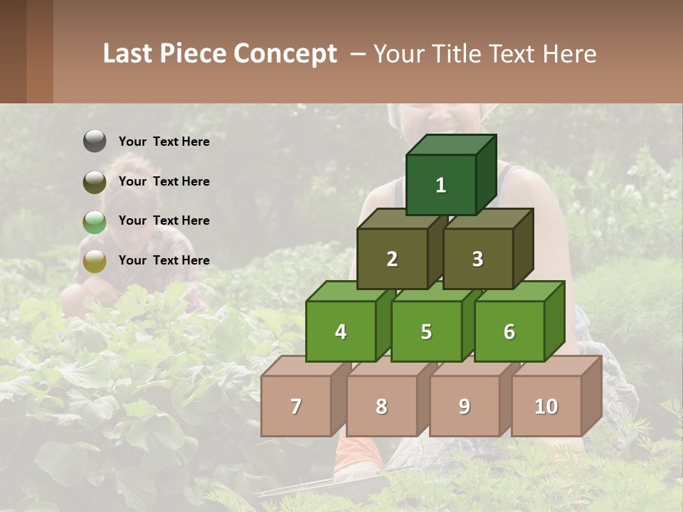 Home House Cold PowerPoint Template