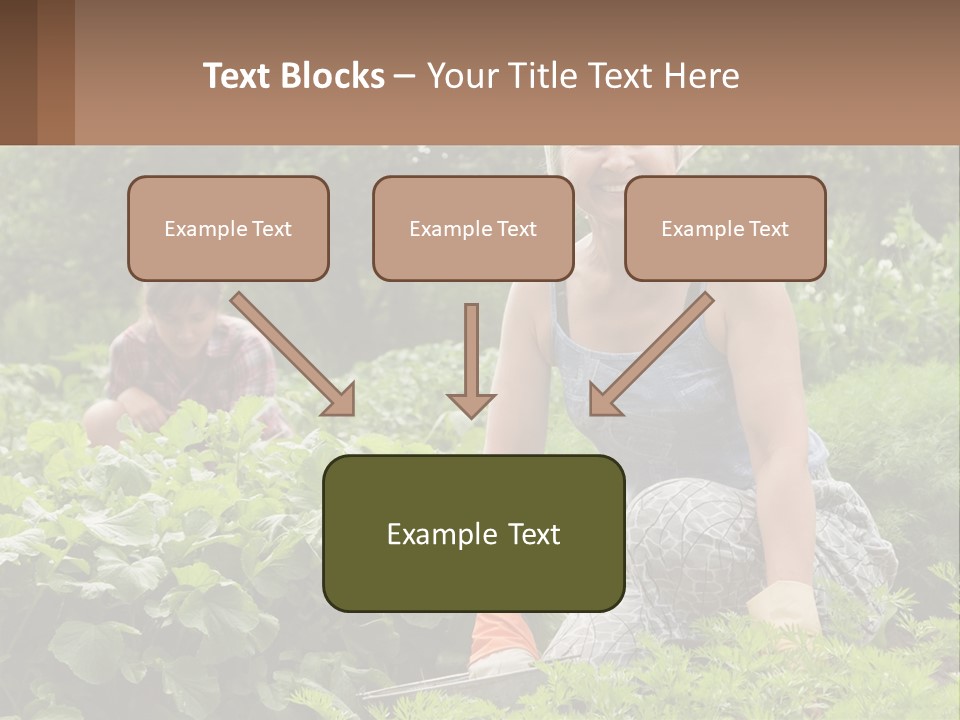 Home House Cold PowerPoint Template