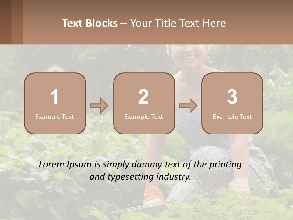 Home House Cold PowerPoint Template