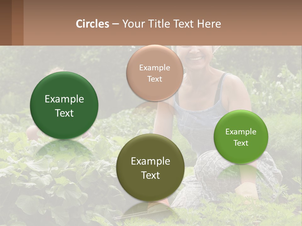 Home House Cold PowerPoint Template