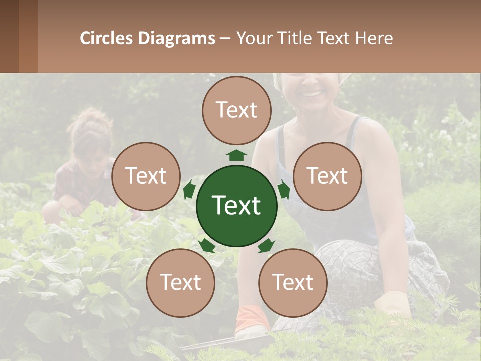 Home House Cold PowerPoint Template