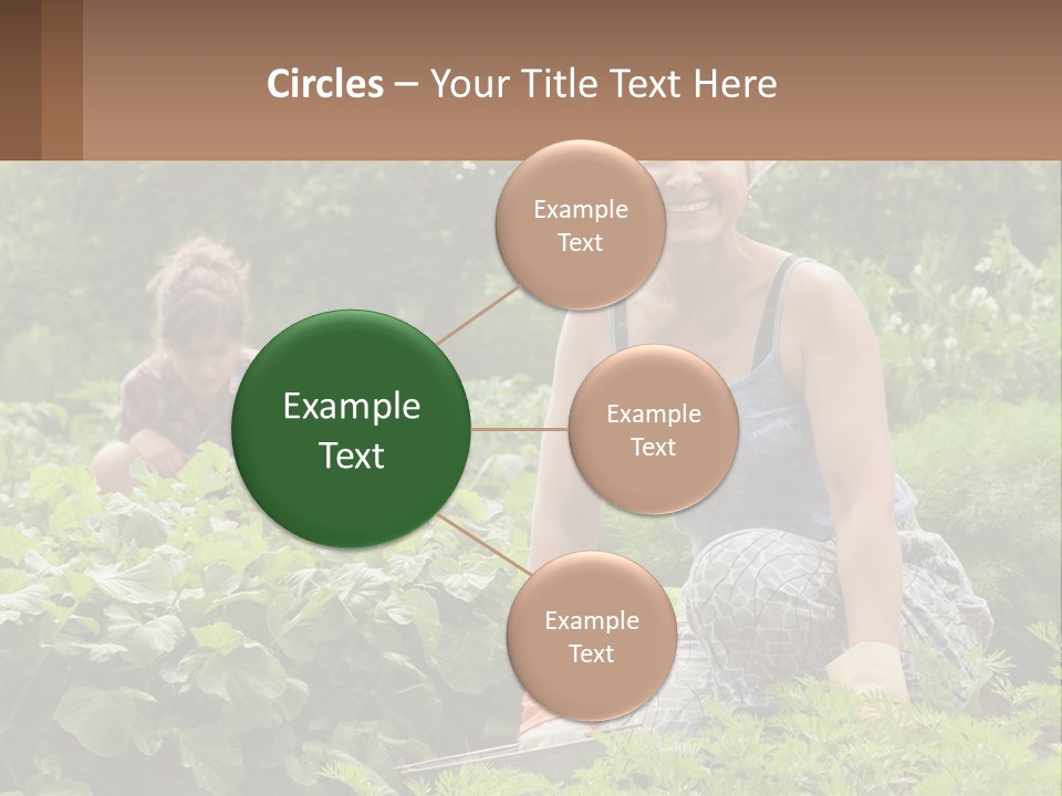 Home House Cold PowerPoint Template