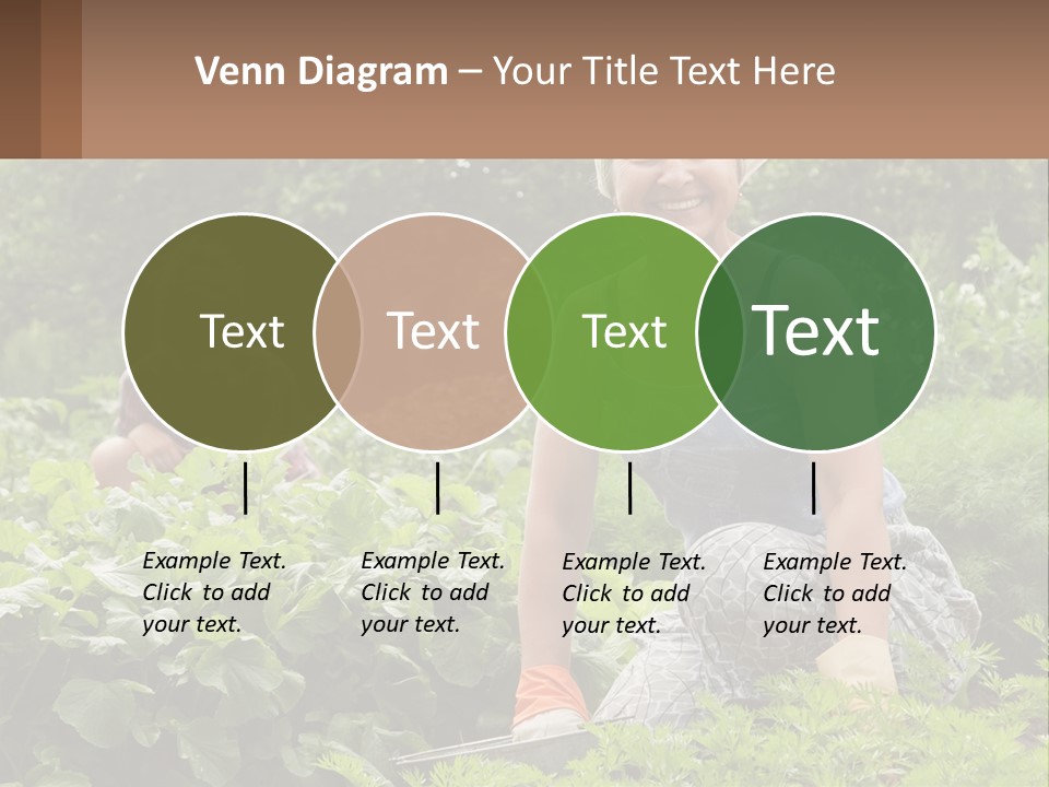 Home House Cold PowerPoint Template