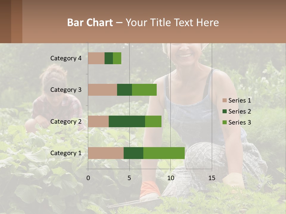 Home House Cold PowerPoint Template