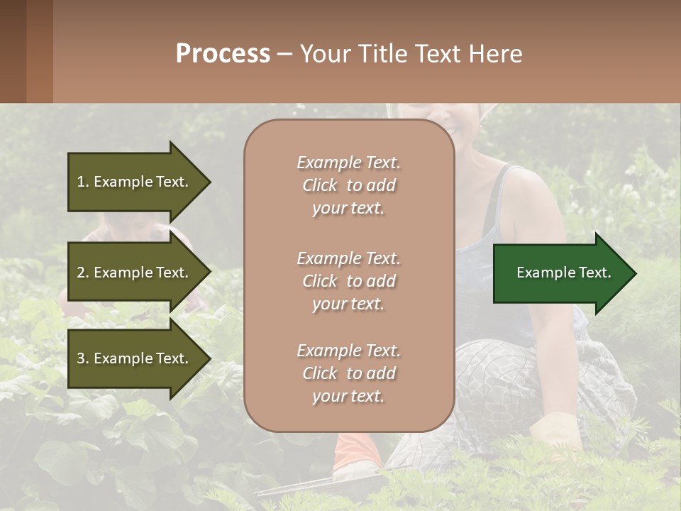 Home House Cold PowerPoint Template