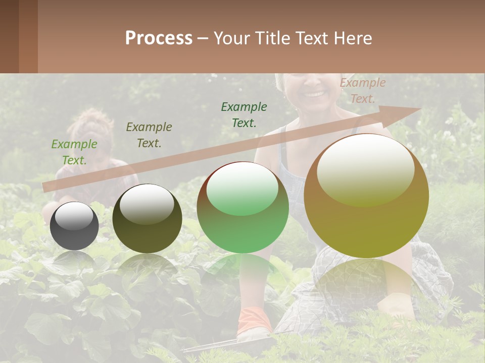 Home House Cold PowerPoint Template