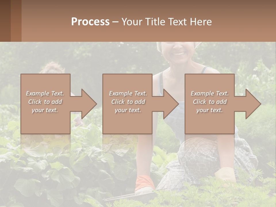 Home House Cold PowerPoint Template