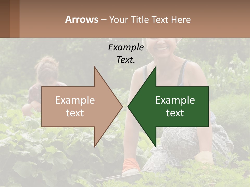 Home House Cold PowerPoint Template
