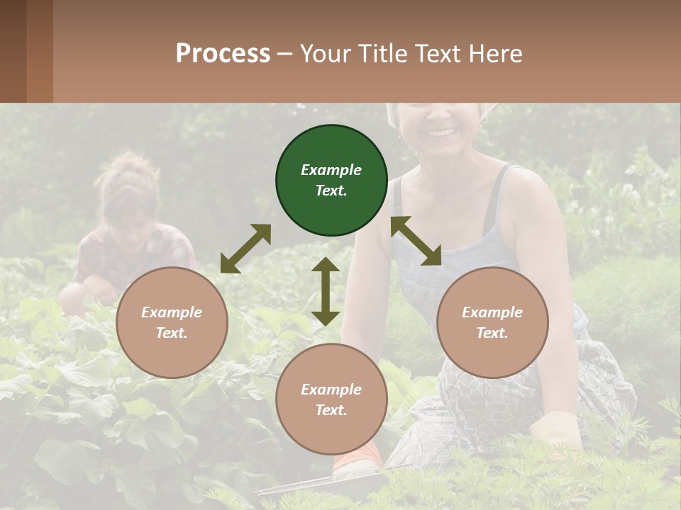 Home House Cold PowerPoint Template