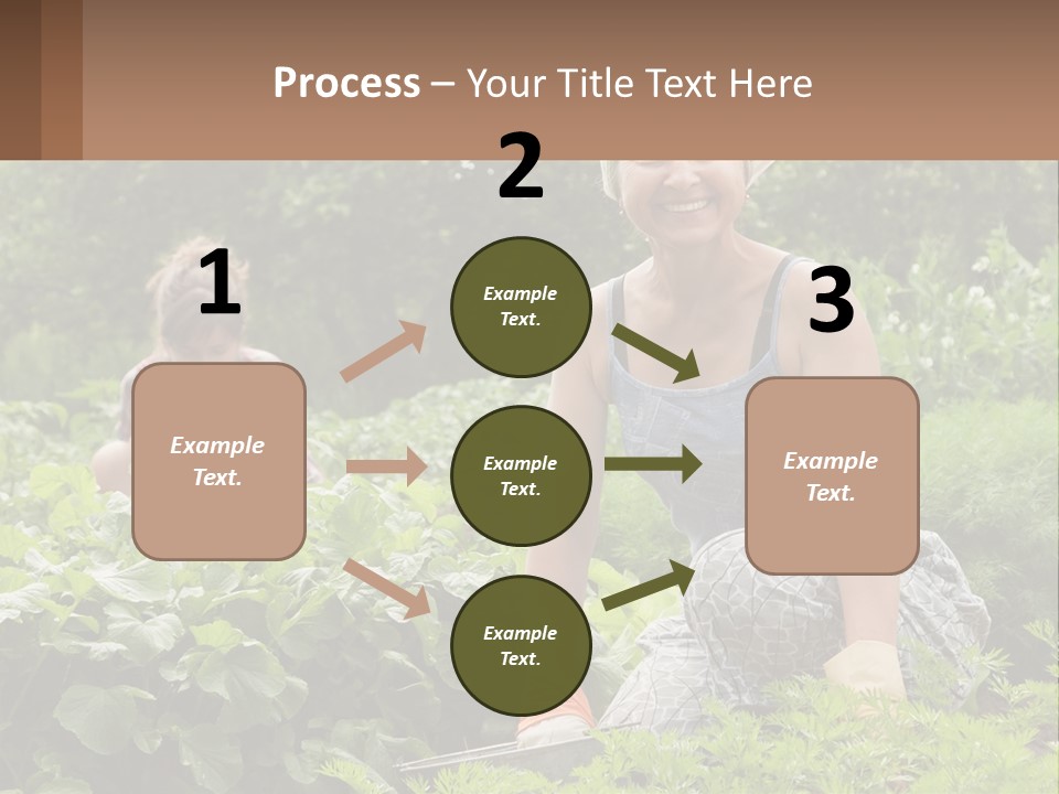 Home House Cold PowerPoint Template
