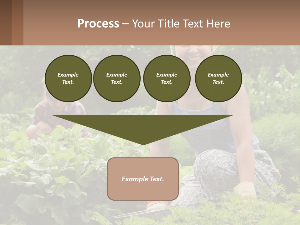 Home House Cold PowerPoint Template