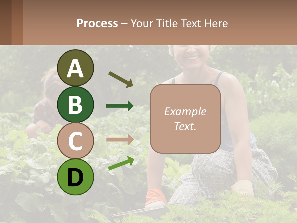 Home House Cold PowerPoint Template