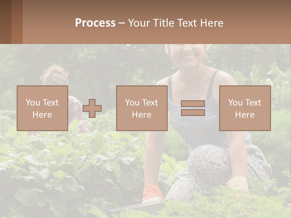 Home House Cold PowerPoint Template