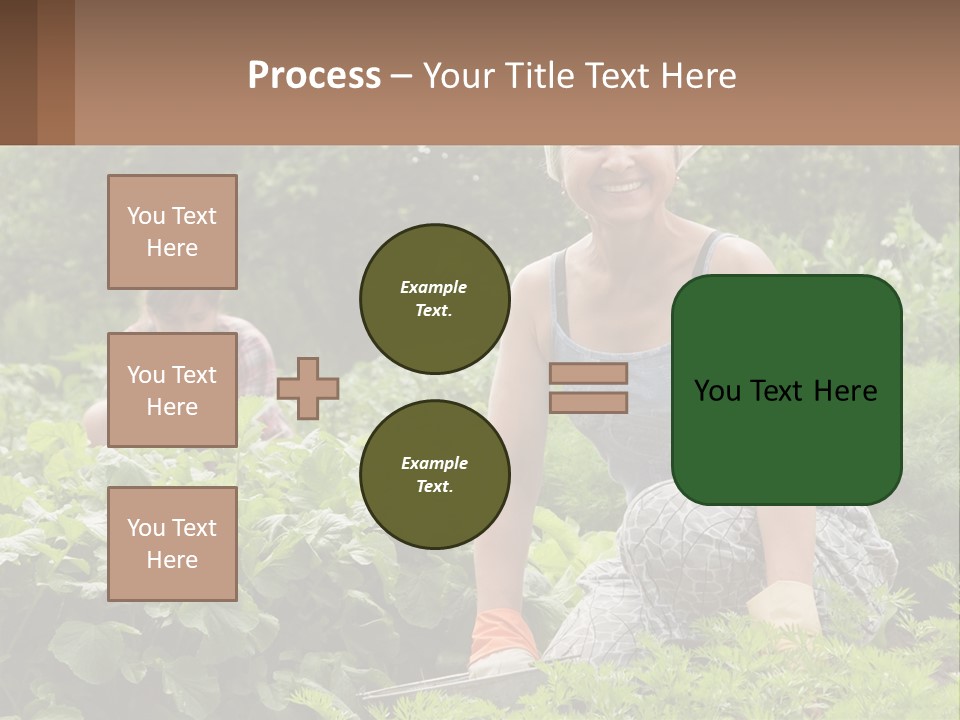 Home House Cold PowerPoint Template