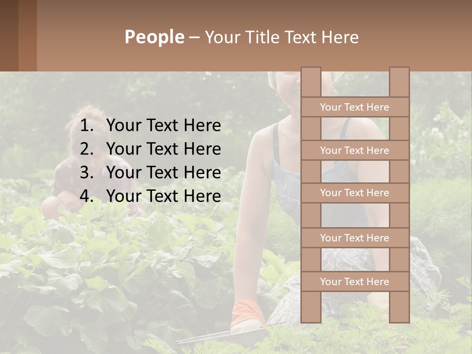 Home House Cold PowerPoint Template