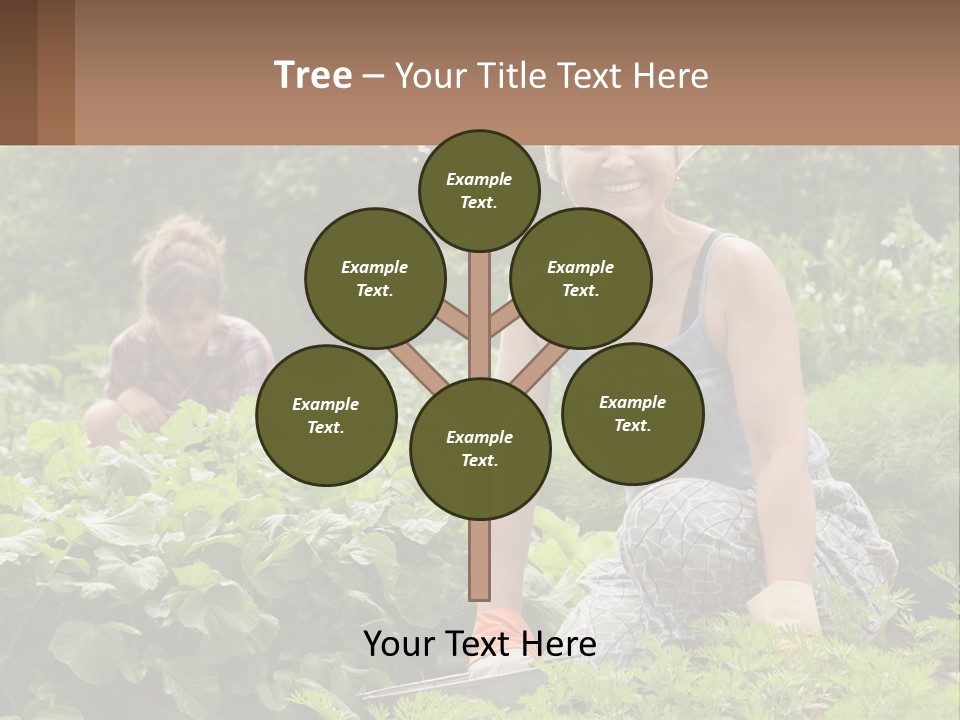 Home House Cold PowerPoint Template