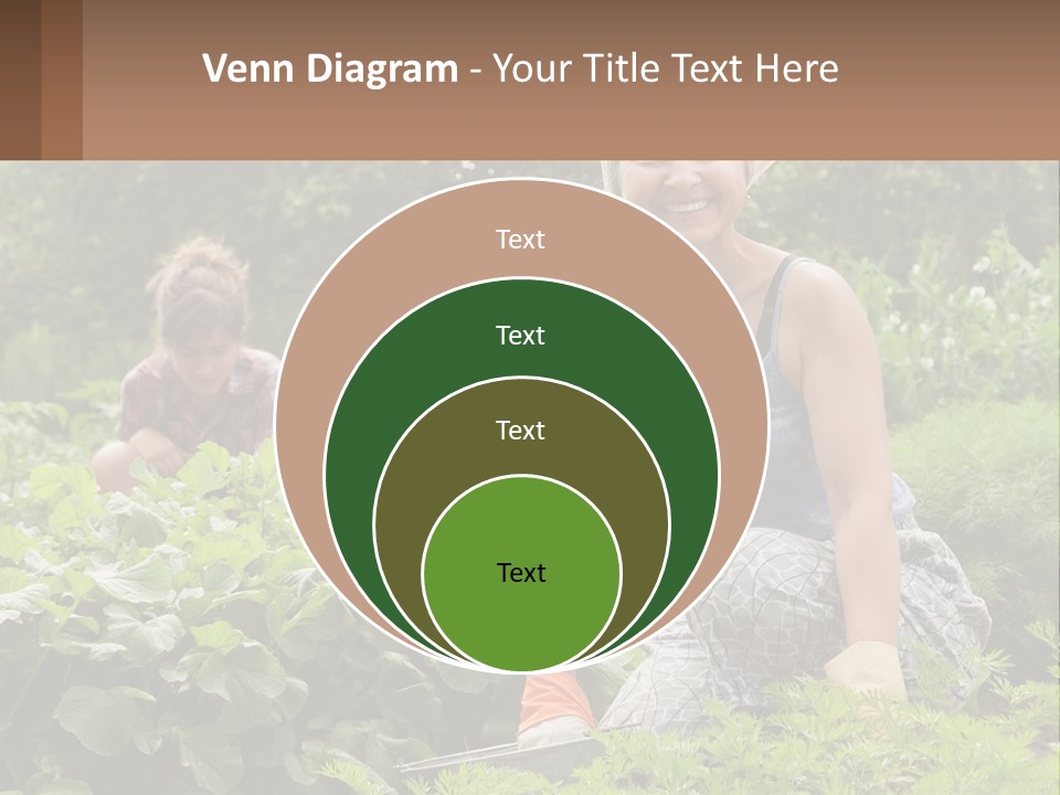 Home House Cold PowerPoint Template