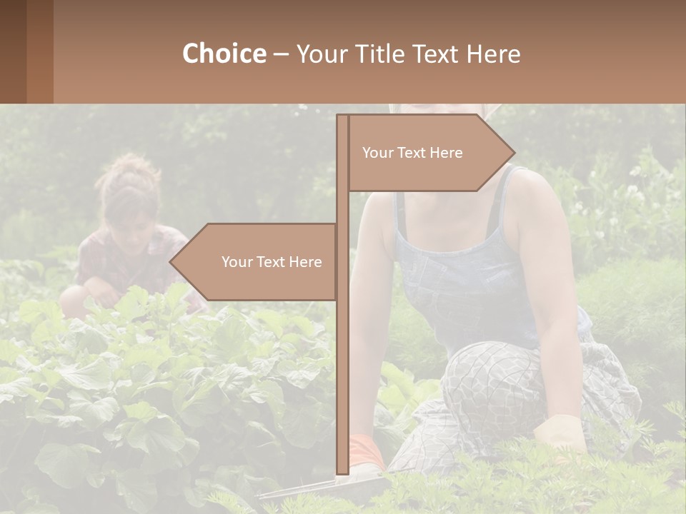 Home House Cold PowerPoint Template