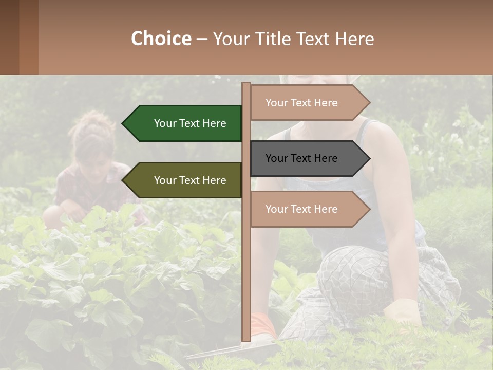 Home House Cold PowerPoint Template
