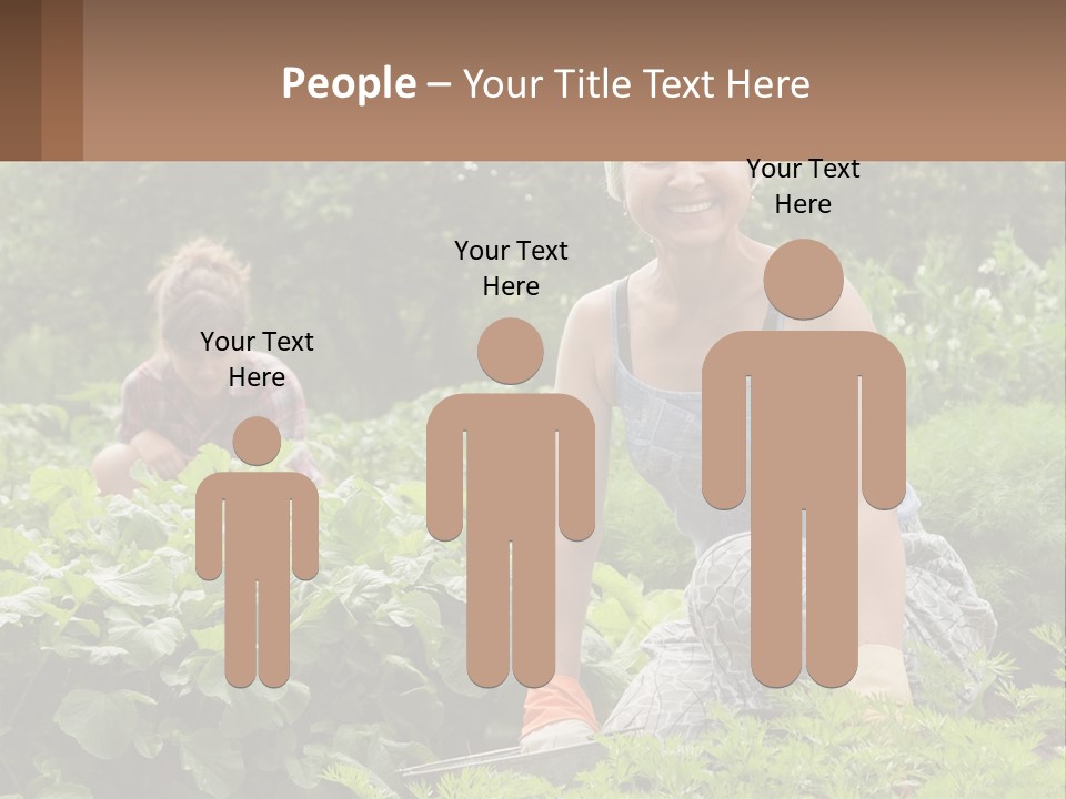 Home House Cold PowerPoint Template