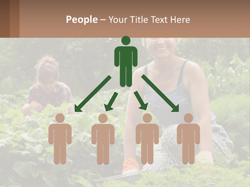 Home House Cold PowerPoint Template