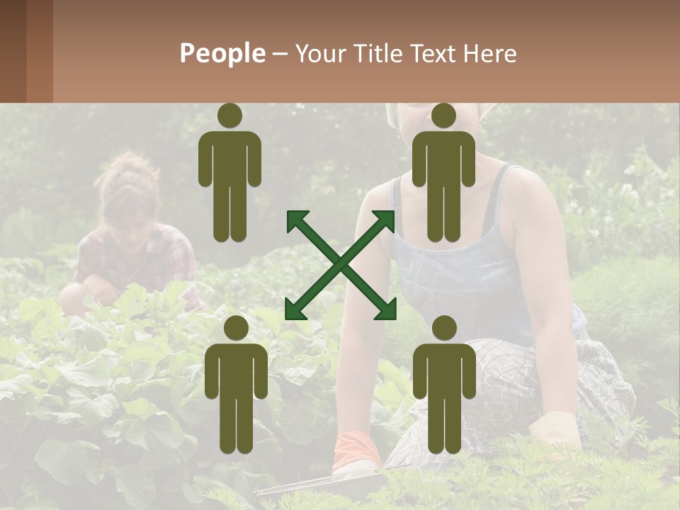 Home House Cold PowerPoint Template