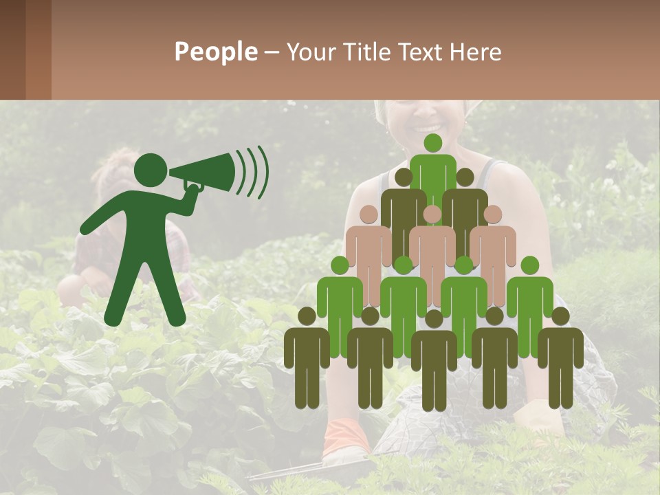 Home House Cold PowerPoint Template