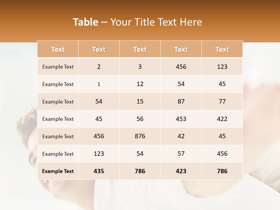 White House Switch PowerPoint Template