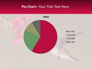 Condition Climate Supply PowerPoint Template