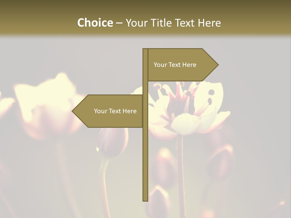 Air Electric System PowerPoint Template