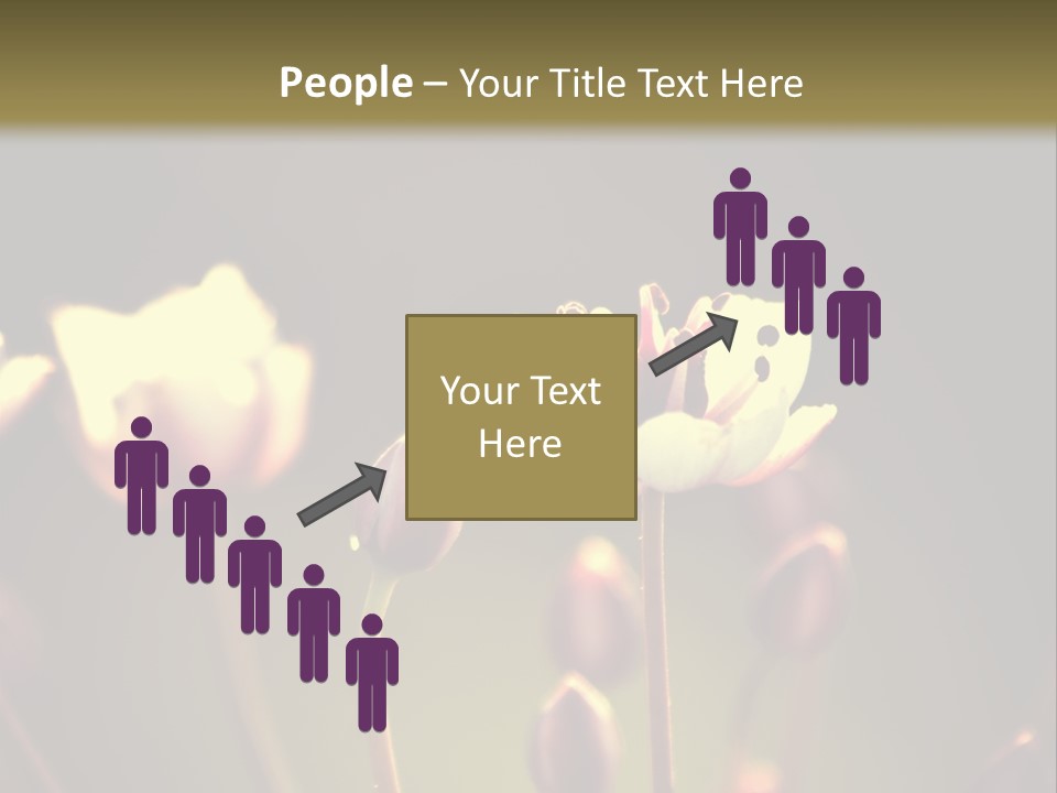 Air Electric System PowerPoint Template