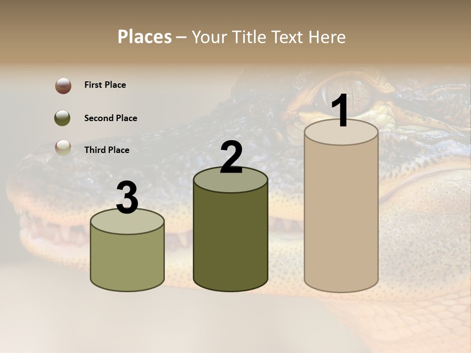 House Technology Remote PowerPoint Template