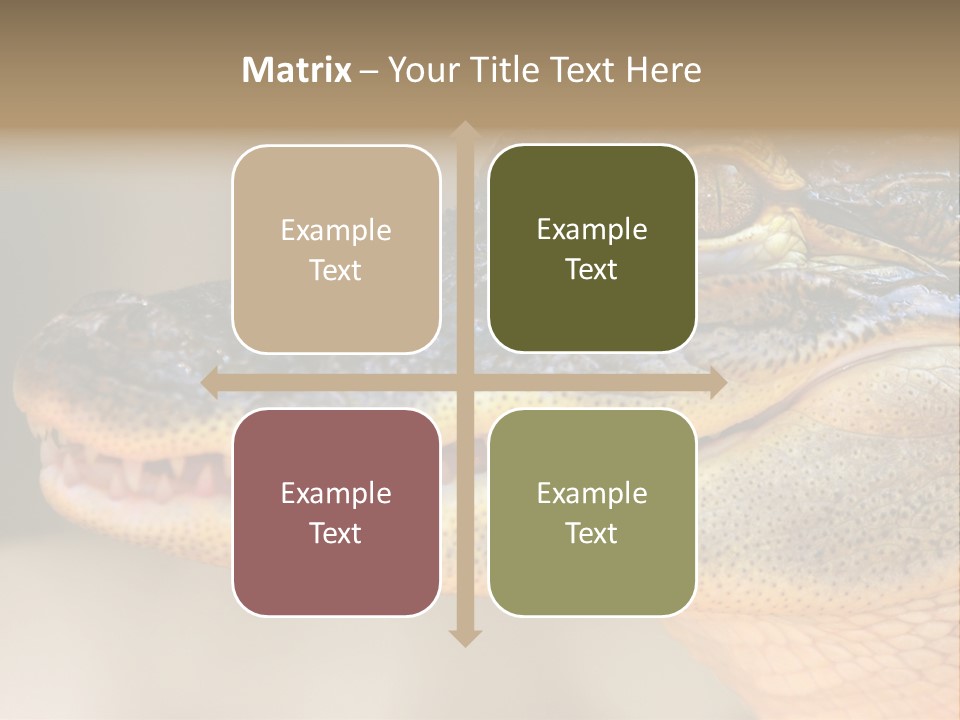 House Technology Remote PowerPoint Template