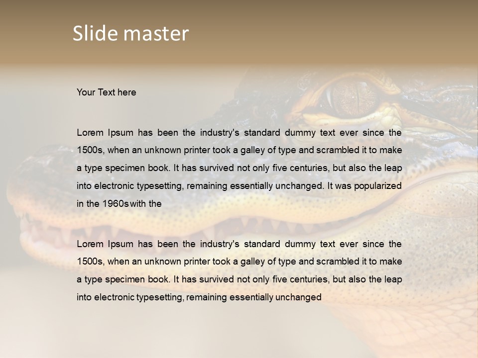 House Technology Remote PowerPoint Template