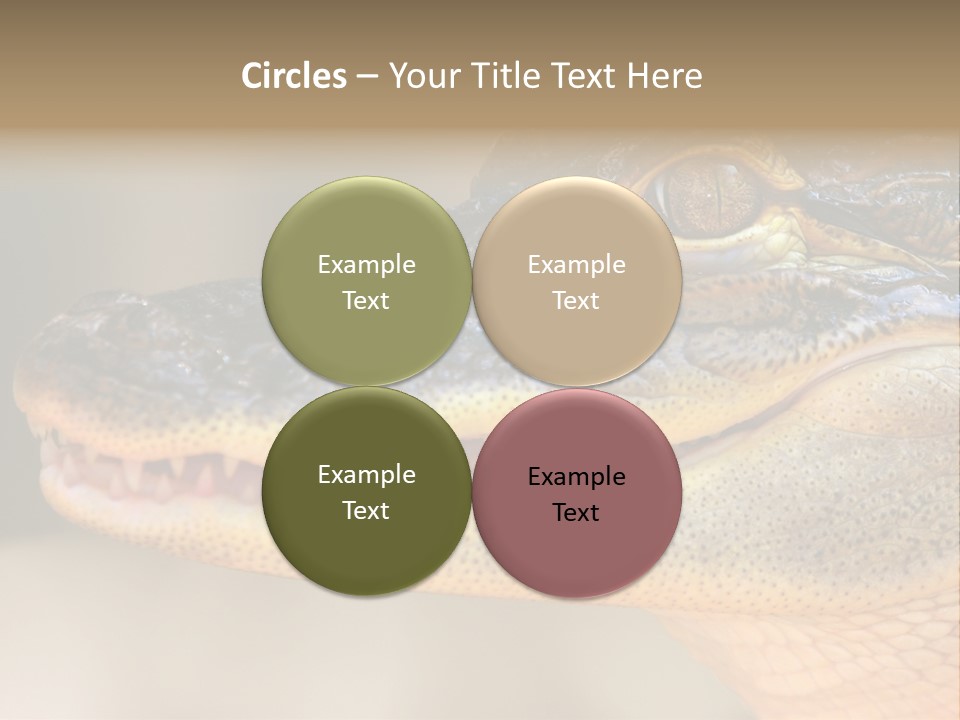 House Technology Remote PowerPoint Template