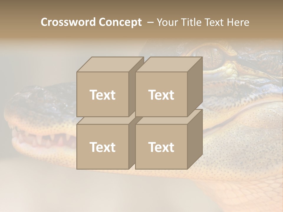 House Technology Remote PowerPoint Template