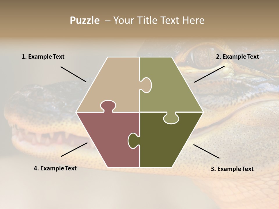 House Technology Remote PowerPoint Template