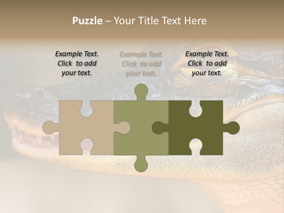 House Technology Remote PowerPoint Template