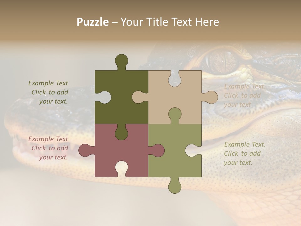 House Technology Remote PowerPoint Template