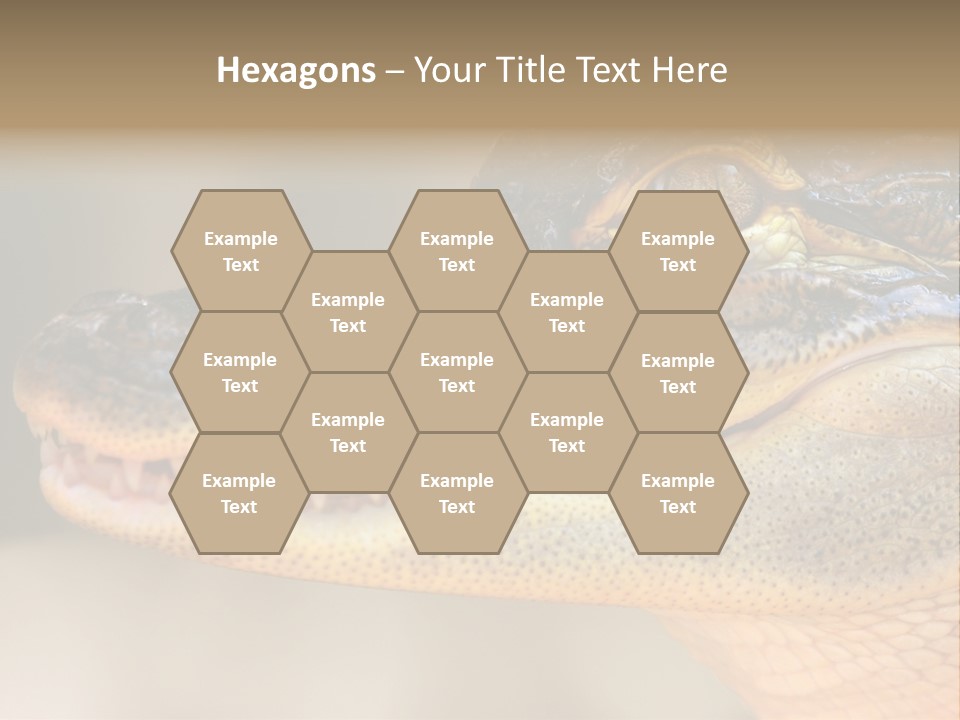 House Technology Remote PowerPoint Template