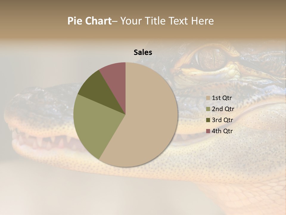 House Technology Remote PowerPoint Template