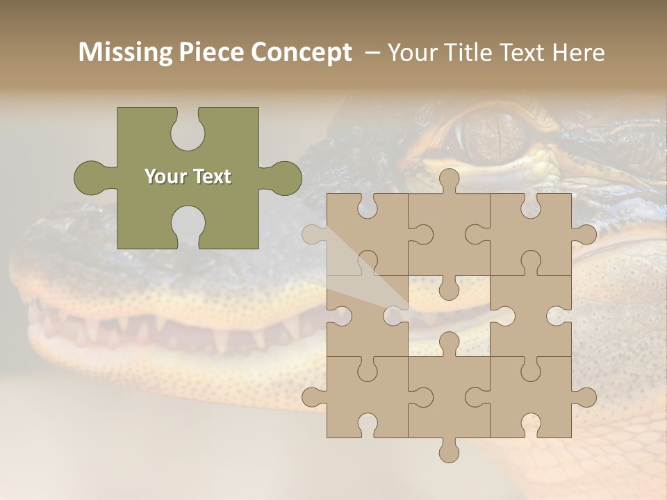 House Technology Remote PowerPoint Template