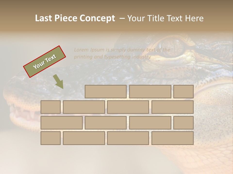 House Technology Remote PowerPoint Template