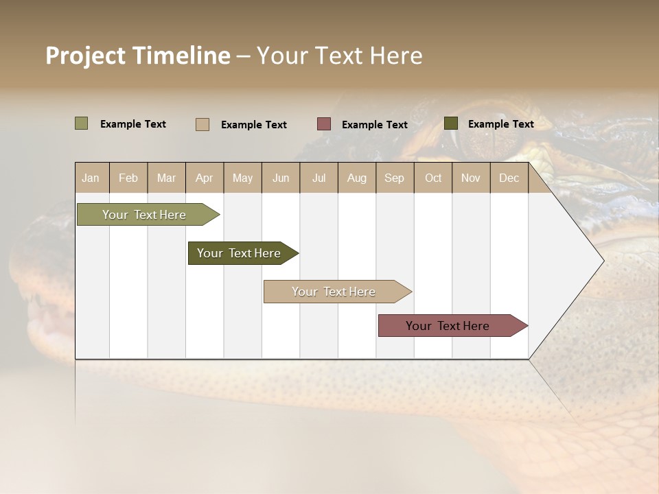 House Technology Remote PowerPoint Template