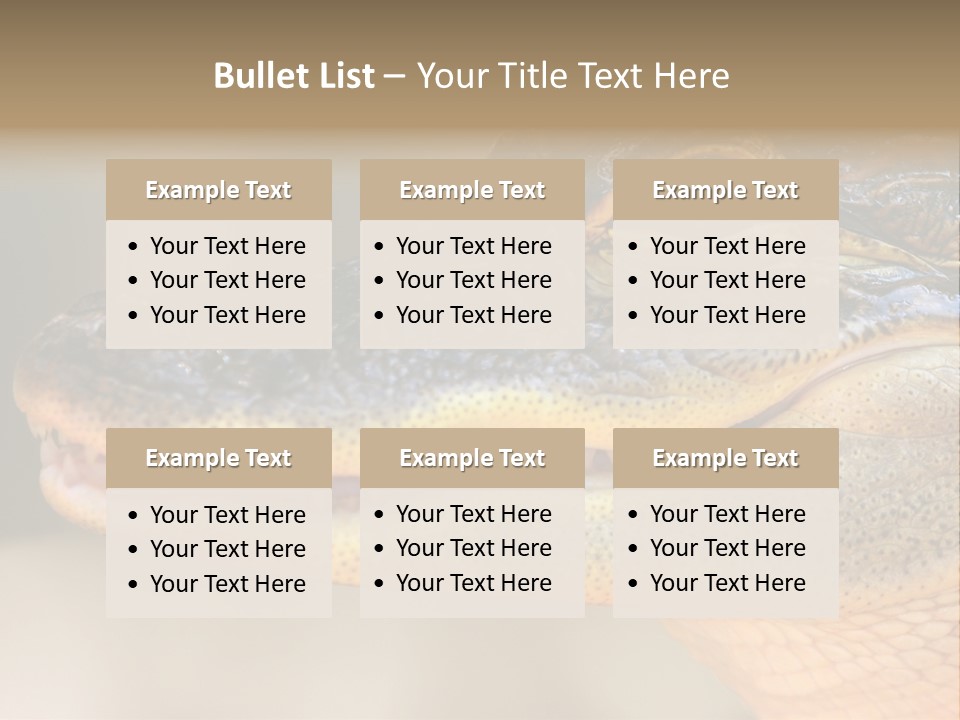 House Technology Remote PowerPoint Template