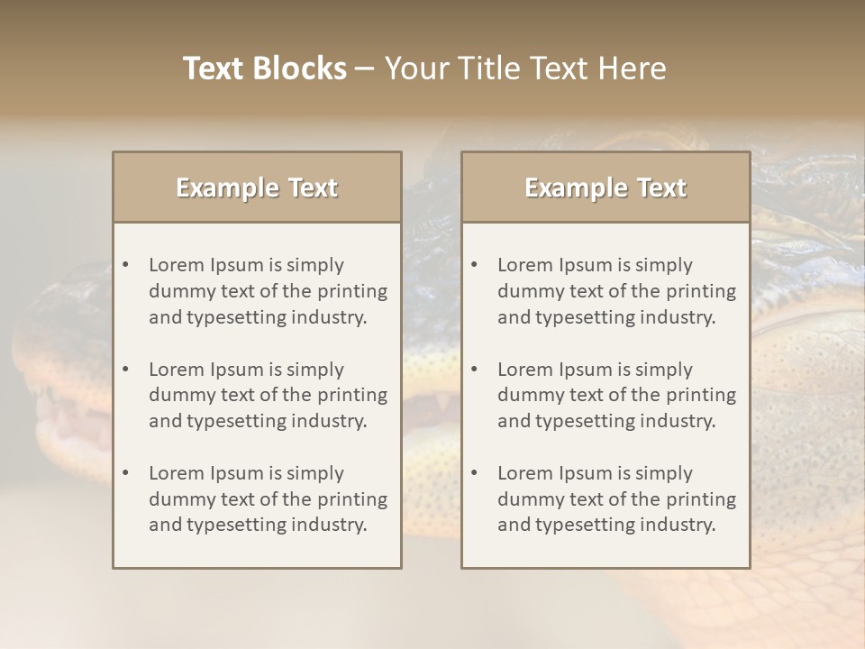 House Technology Remote PowerPoint Template