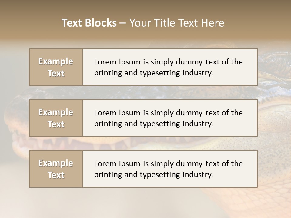 House Technology Remote PowerPoint Template