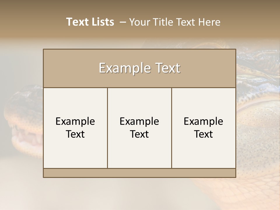 House Technology Remote PowerPoint Template