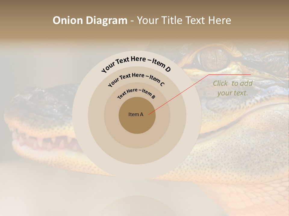 House Technology Remote PowerPoint Template