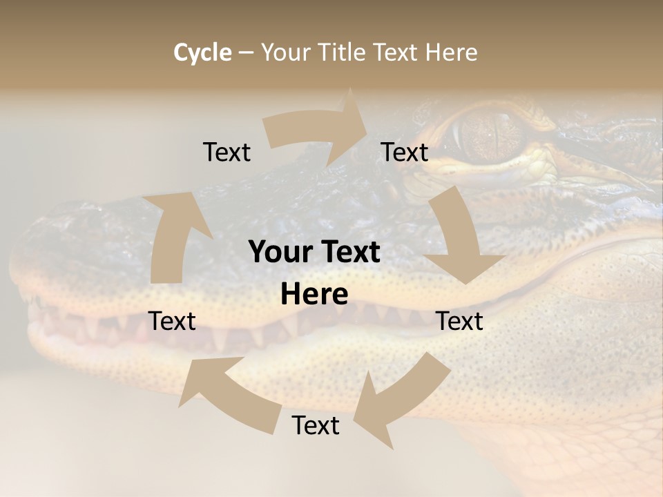 House Technology Remote PowerPoint Template